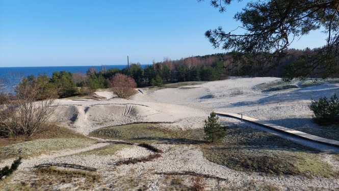 Plieņciema kāpa