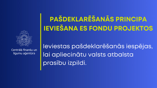 Vizuālis ar publikācijas nosaukumu, CFLA logo un zila fona