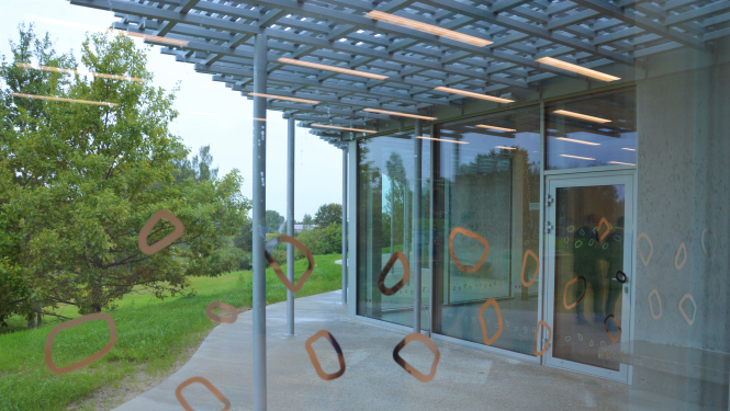 Sociālo pakalpojumu centrs Pērle Cēsīs