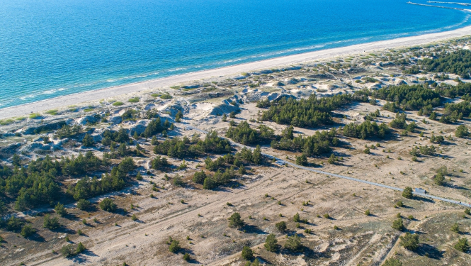 Pelēkā kāpa Ventspilī