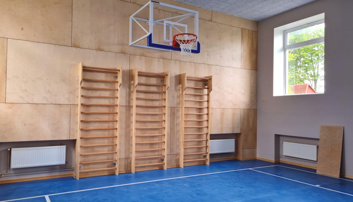 Lūzenieku pamatskolas sporta zāle,basketbola grozs