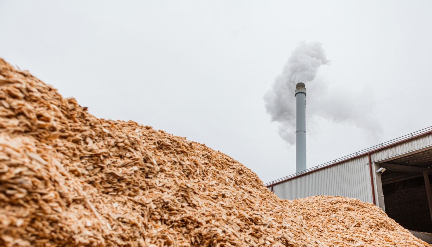 Katlu-māja-Kauguros